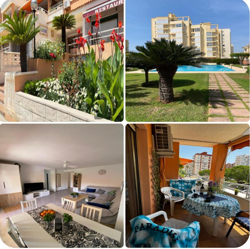 Apartamento Paradise Solo Familias Gandía Exteriér fotografie